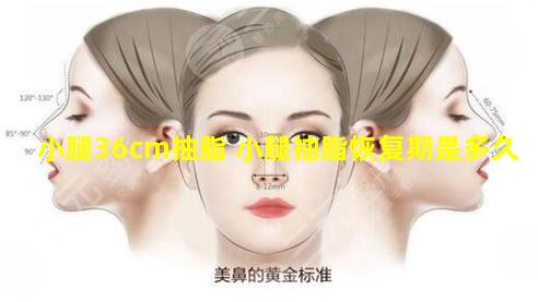 小腿36cm抽脂 小腿抽脂恢复期是多久